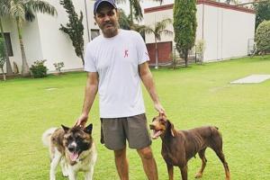 Pup star! Virender Sehwag expresses his love for his two pet dogs