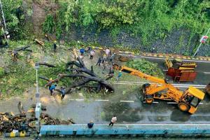 Mumbai Rains: A look at the South Mumbai mayhem on fateful August 6