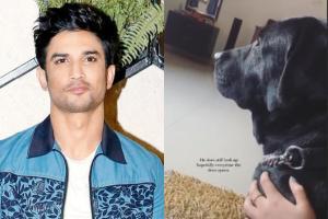 Sushant's niece Mallika shares heartbreaking video of actor's dog Fudge