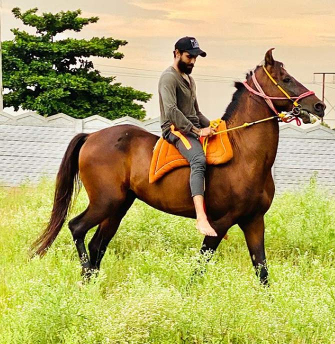 Ravindra Jadeja has a lot of love for horses and spends most of his time with them at his farmhouse.