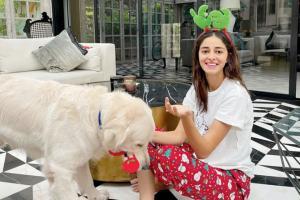 'Tis the season! Ananya Panday is setting the Christmas mood right