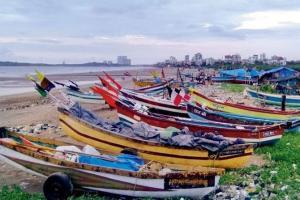 BSF seizes 58 Bangladeshi boats smuggling 45,000 kg dry peas