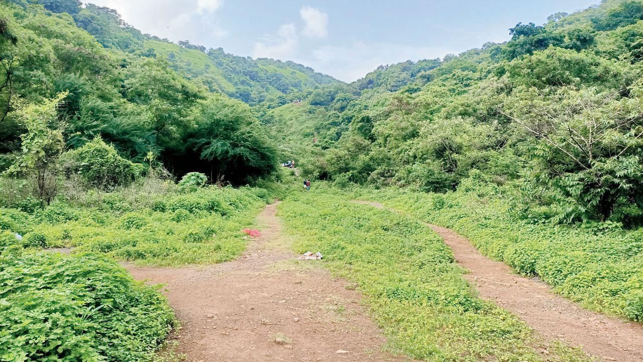 Mumbai: Ghatkopar Residents Protest Against Govt's Decision To Build Firing Range In A Hill