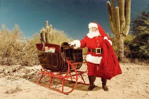 Virtual holiday cheer