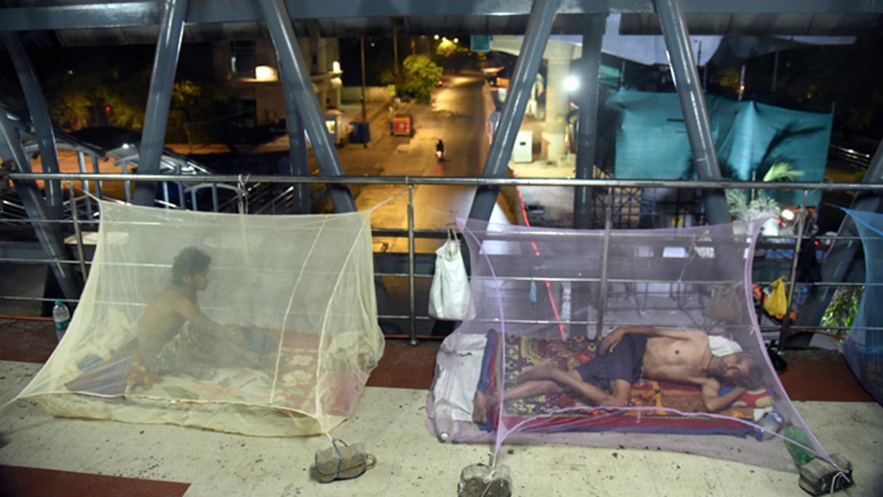 Homeless people living in tents on a skywalk in Powai amid the COVID-19 enforced lockdown in Mumbai.
Photo: Sameer Markande