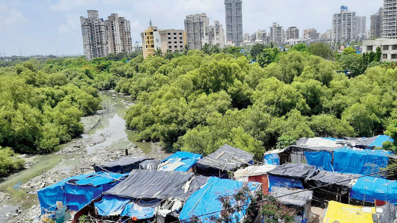 Seven locals from Versova accused of destroying mangroves