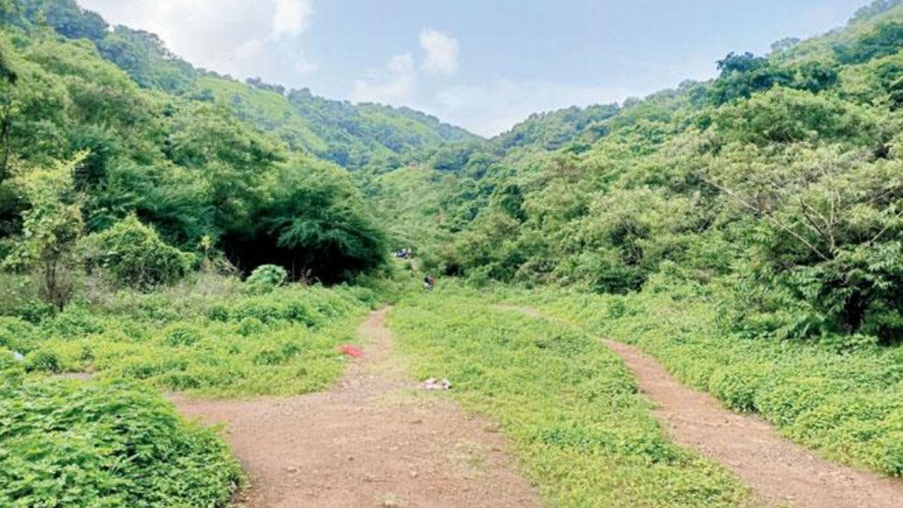 Mitigate impact of firing range on trees on priority