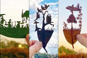 It's a whimsical world