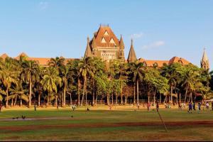 Bombay HC questions Maharashtra govt on FIR against woman for tweets