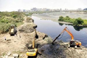 Not a single rupee from Centre for Mithi River clean-up: RTI