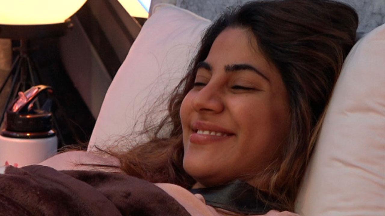 Bigg Boss 14 Day 69 Update: Nikki confesses that she likes Aly; Aly and Abhinav clash