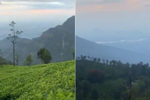 IAS officer shares video of Nilgiri Mountains, netizens stunned
