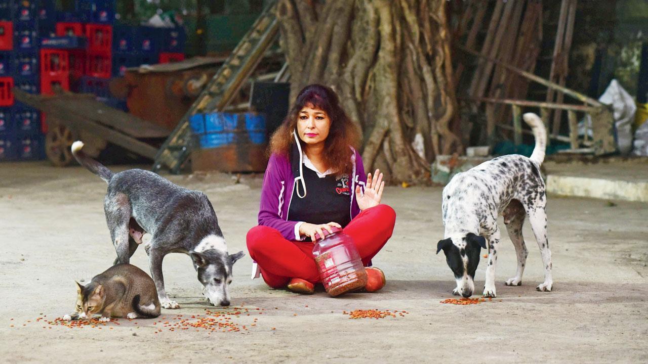 Mumbai: Worli resident breached lockdown to feed 200 stray dogs