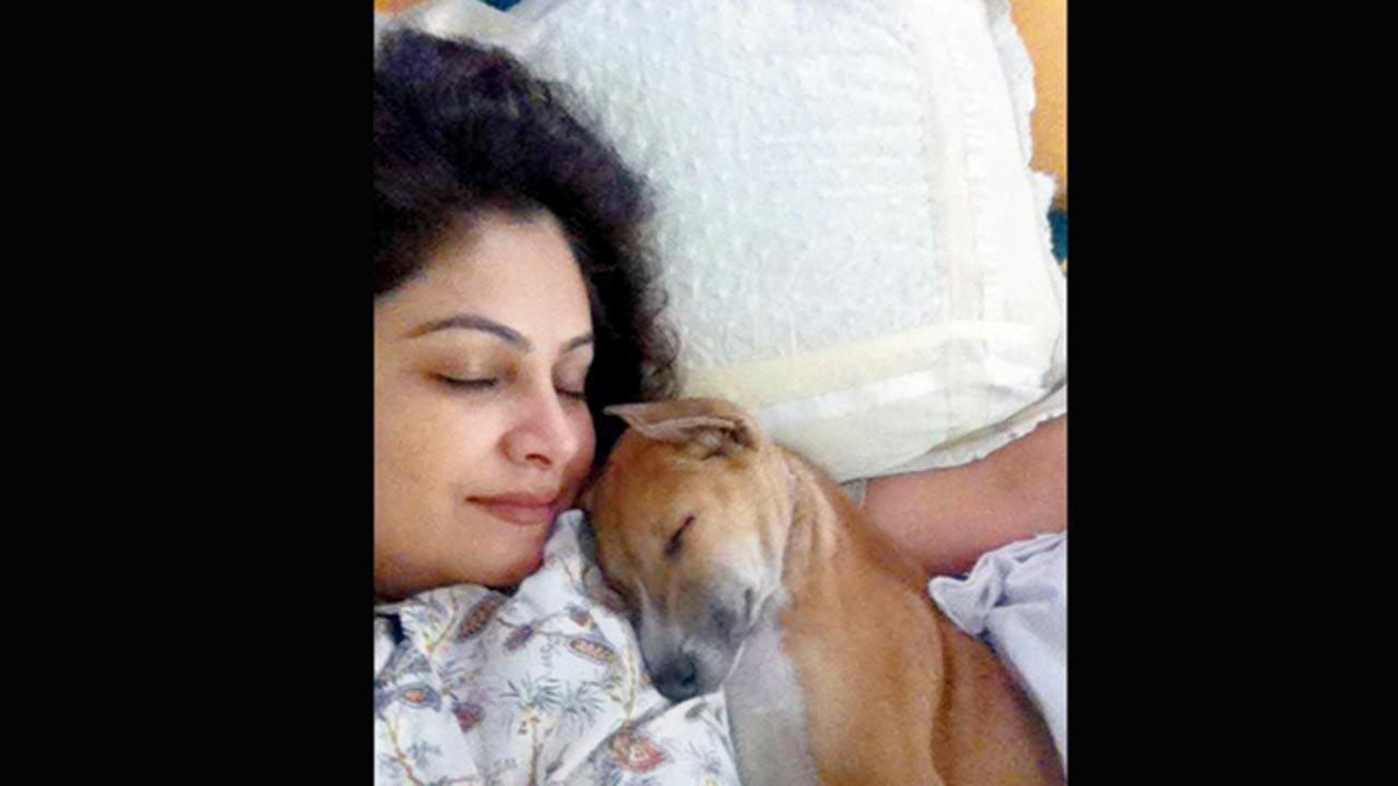Mumbai: Actress Ayesha Julka accuses house caretaker of murdering her pet dog