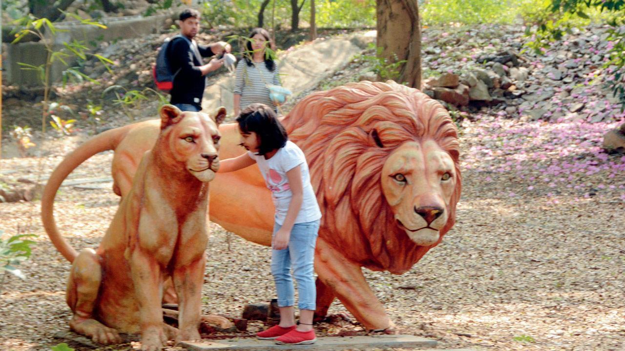 Sanjay Gandhi National Park's Christmas present: A male tiger