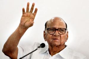 Pawar points on the surge