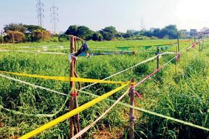 Mumbai: Over 500 people chase 'free land' rumour to Vikhroli plot