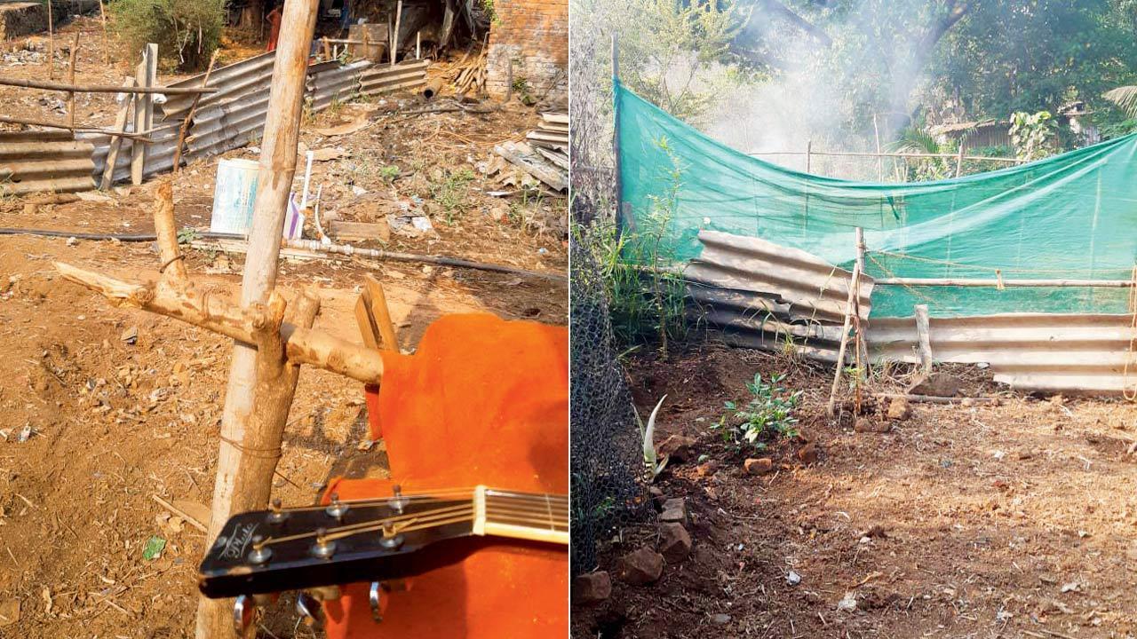 Mumbai: Land mafia approaching to construct houses in Aarey, say tribals