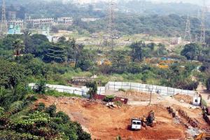 Consider withdrawing order on Metro car shed land: HC to Maha govt