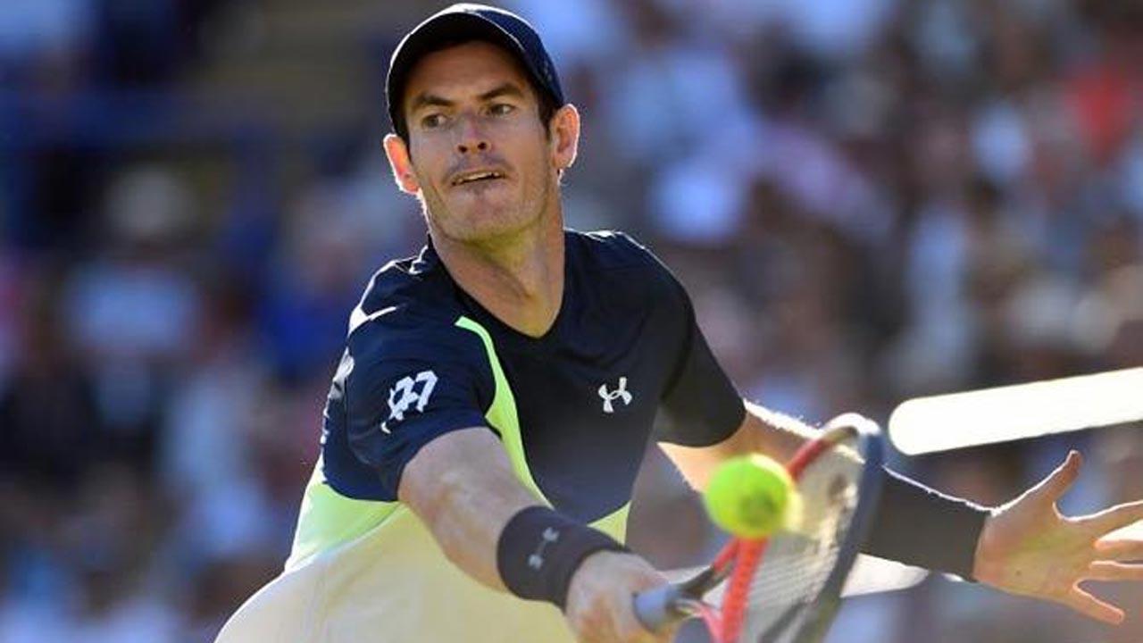 Australian Open wild card for Andy Murray