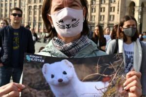 International Animal Rights Day: 'Need stricter laws', say activists