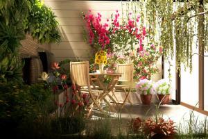 Check out these 5 Websites to green your Balcony Garden