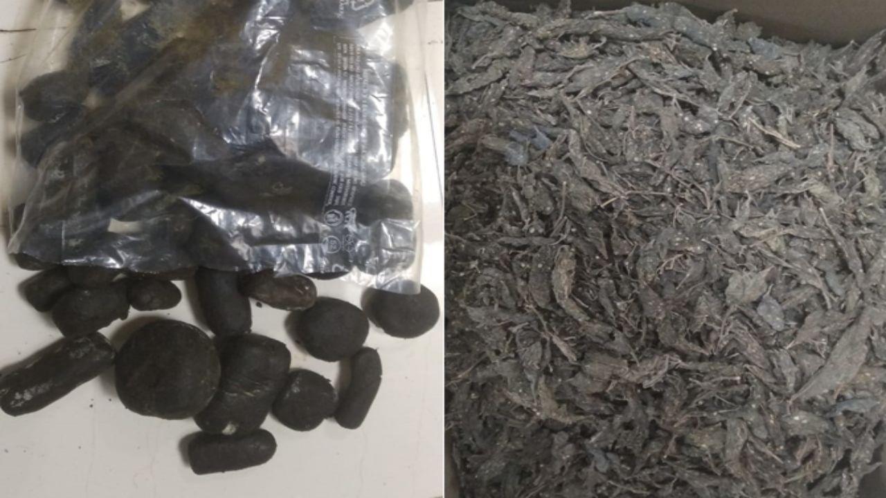 Thane Crime: 4 kg charas worth Rs 1 crore seized, one held 
