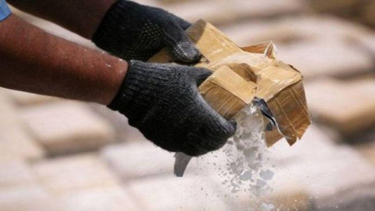 Bollywood is being terrorised through anti-drug agency: Maharashtra Congress