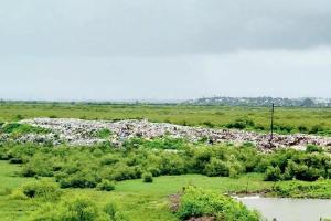 Mumbai: Consultants to oversee Malad sewage treatment plant