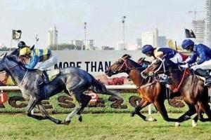 Bold Legend may trick rivals