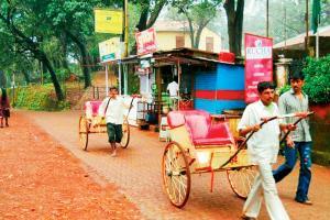 Another pandemic casualty: Matheran's hand-pulled rickshaws 