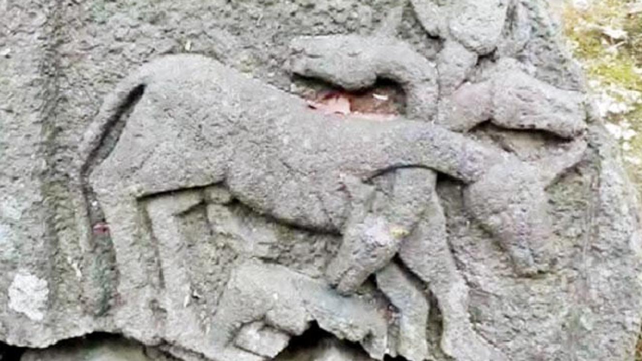 Idols believed to be from 12th century found in Palghar