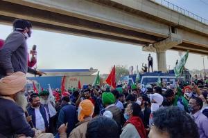 Farmer protests: 'Pizza langar' at Singhu border in Delhi