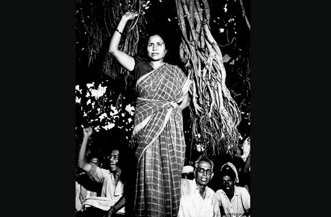 Parulekar, aka, Godutai started chronicling the revolt in the late 1960s,  after the death of her husband, and fellow comrade-freedom fighter Shamrao Parulekar. Pic courtesy/Umesh Naresh Shingade