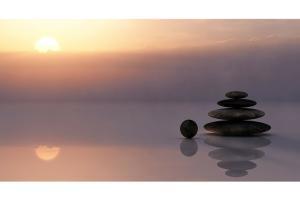 Arnav Kumar, MD at Switch Wellness shares the beginner's guide to worki