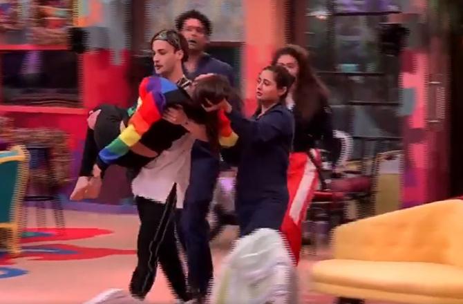 The task then took an ugly turn when Himanshi Khurana got injured and fell unconscious. The housemates started panicking as someone said that Himashi wasn't breathing, and Asim picked her up and rushed off to take care of her.