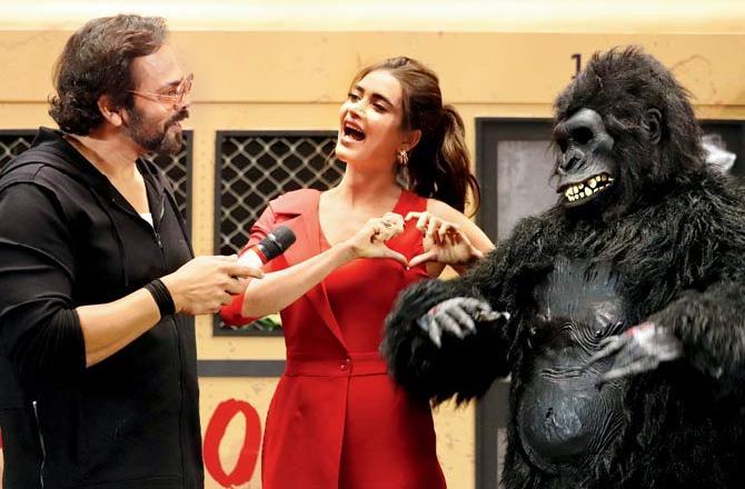 Rohit Shetty and Karishma Tanna pose with an ominious but cheery gorilla to promote a reality show, at a five-star. Pic/ Anurag Ahire