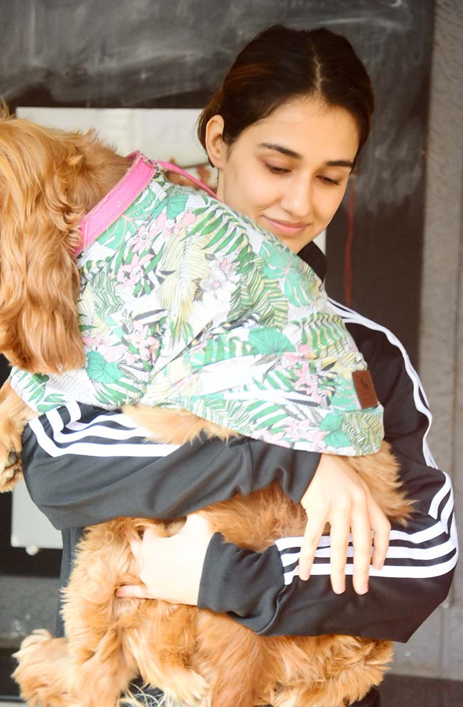 Disha Patani and her love for dogs is known to all. The star was clicked taking her pet dog Bella for a stroll on the streets of Bandra. For this occasion, Disha opted for a black t-shirt and track pant.