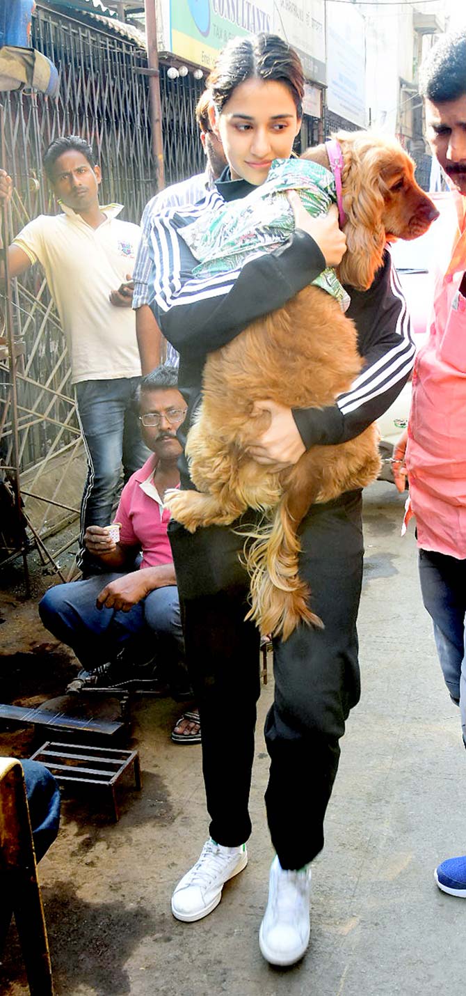 Disha is an animal lover and a proud parent of two dogs by the name of Bella and Goku as well as a cat named Jasmine. On the work front, she is gearing up for the release of her upcoming crime thriller, Malang. She will be seen romancing with Aditya Roy Kapur in the Mohit Suri directorial which is set to release on February 7.