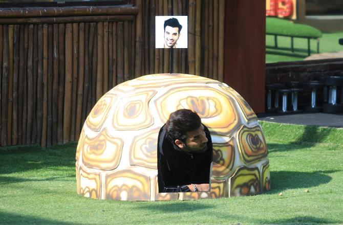 The next day, Bigg Boss announced a task that would give the non-elite club members a golden opportunity to win immunity. In this task, Paras, Mahira, Aarti, and Shehnaz had to sit inside turtle shells until the next buzzer. If they failed to do so, they would lose out on the only chance to win immunity. While Rashami was the sanchalak, Asim and Sidharth were allowed to use tactics to pull them out of the shell.