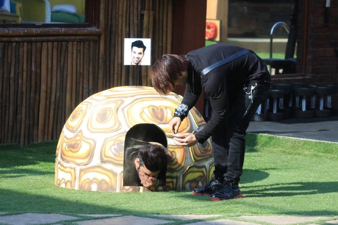 The buzzer rang and the four contestants took their places inside the turtle shells. Asim tried to make the task a difficult one for the contestants to survive inside the shells by putting Mirchi powder. After spending considerable time inside, Shehnaaz hatched a plan with Rashami to get Mahira out of the game. According to her, Rashami could disqualify Mahira if her hand is out of the shell. Rashami complied and eliminated Mahira from the task followed by Paras for putting their hand out.