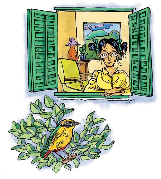Baya weaver and its nest