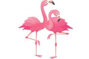 Three ways to spot flamingos