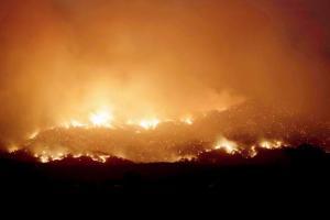 State of emergency declared in Oz capital