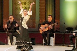 Capture the beauty of Flamenco
