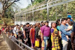 Byculla Zoo nets record Rs 6 lakh in a day as new animals attract crowd