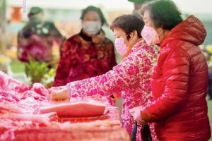 Of ducks, kebabs and deadly viruses