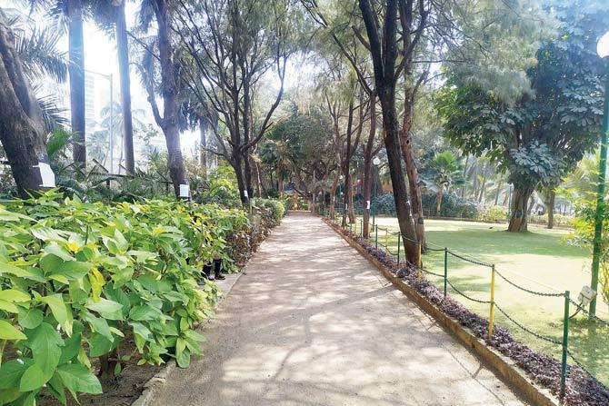 BMC notices pasted on trees inside Tata Garden