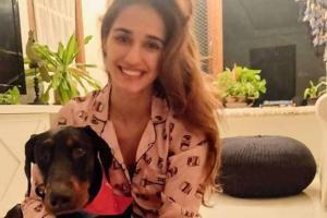 Disha Patani shares adorable picture of her pet Goku; let's say hello!
