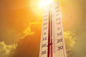 Mumbai records season's highest temperature at 38.4 degrees